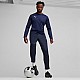 Tepláky Puma Team Goal Training M 658639 06
