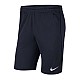 Trenky Nike Dri-FIT Park 20 M CW6152-451
