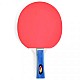 SMJ Faster 12201-1