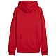 Puma Team Goal Casuals Hoody M 658618 01
