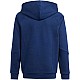 adidas Tiro 24 Sweat Hoodie Jr IR7504