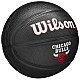 Lopta Wilson Team Tribute Chicago Bulls Mini Ball Jr WZ4017602XB