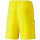 Trenky Puma teamLIGA M 704924 07