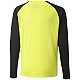 Puma teamPacer GK LS Jersey Jr 704939 42