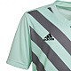 Tričko adidas Entrada 22 Graphic Jersey Jr HF0127