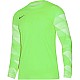 Tričko Nike Dry Park IV JSY LS GK Jr CJ6072-702