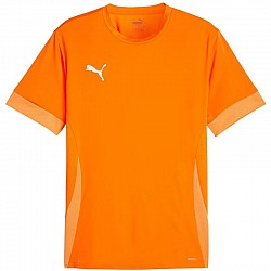 Tričko Puma teamGoal Matchday Jersey M 705747 08