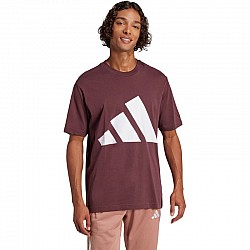 Tričko adidas Essentials Big Logo M JE8939