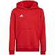 adidas Entrada 22 Hoody Jr H57566