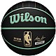 Wilson NBA Team City Collector Charlotte Hornets Ball WZ4016404ID
