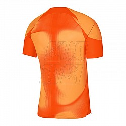Brankársky dres Nike Dri-FIT ADV Gardien 4 M DH7760-819