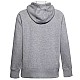 Under Armour Rival Fleece Logo Hoodie W 1356318-035