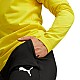 Tepláky Puma Team Goal Slim Training M 659037 03