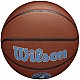 Lopta Wilson NBA Team Minnesota Timberwolves Ball WTB3100XBMIN