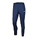Tepláky Nike Park 20 M BV6877-410
