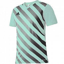 Tričko adidas Entrada 22 Graphic Jersey Jr HF0127