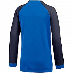 Nike Dri FIT Academy Pro Jr DH9283 463