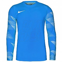 Tričko Nike Dry Park IV JSY LS GK Jr CJ6072-463