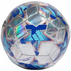 Futbalová lopta adidas UCL Training 23/24 Group Stage Foil IA0955