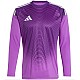 Brankársky dres adidas Tiro 25 Competition M JI9726