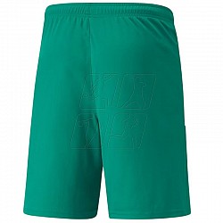 Trenky Puma teamLiga M 704924 05