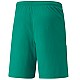 Trenky Puma teamLiga M 704924 05