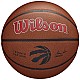Lopta Wilson Team Alliance Toronto Raptors Ball WTB3100XBTOR