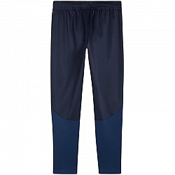 Tepláky Puma Team Goal Training M 658639 06