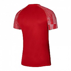 Tričko Nike Dri-Fit Academy SS M DH8031-657