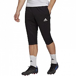 Tepláky adidas Entrada 22 3/4 Panty M HB0576