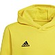 adidas Entrada 22 Hoody Y Jr HI2142