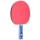 SMJ Faster 12201-1