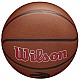 Lopta Wilson Team Alliance Toronto Raptors Ball WTB3100XBTOR