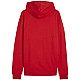Puma Team Goal Casuals Hoody M 658618 01