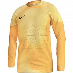 Brankársky dres Nike Gardien IV Goalkeeper JSY M DH7967 719