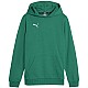 Puma Team Goal Casuals Hoddy Jr 658619 05