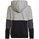 adidas Colourblock Hoodie Jr HN8563