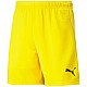 Trenky Puma teamRise Short Jr 704943 07