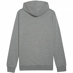 Puma Team Goal Casuals Hoody M 658618 33