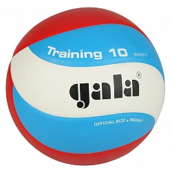 Volejbalová lopta GALA Training BV5567S