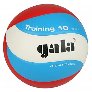 Volejbalová lopta GALA Training BV5567S