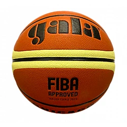 Basketbalová lopta GALA Chicago BB7011C