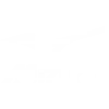 Mizuno