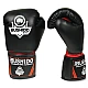 Boxerské rukavice DBX BUSHIDO ARB-407