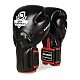 Boxerské rukavice DBX BUSHIDO BB2