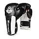 Boxerské rukavice DBX BUSHIDO B-3W