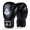 Boxerské rukavice DBX BUSHIDO ARB-Black