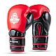 Boxerské rukavice DBX BUSHIDO Warrior RED