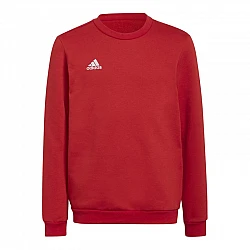 adidas Entrada 22 Sweat Jr H57473