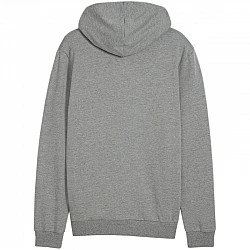 Puma Team Goal Casuals Hooded M 658595 33